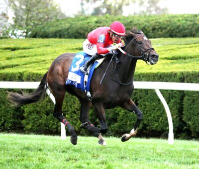 Tam Tam, Horses, Stronestreet Thoroughbred Holdings, Dixiana Queen Elizabeth II Challenge Cup Stakes, sábado, 10 de octubre de 2026, Keeneland. Foto: @coadymediaUSA