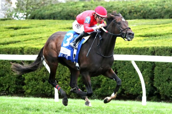 Tam Tam, Horses, Stronestreet Thoroughbred Holdings, Dixiana Queen Elizabeth II Challenge Cup Stakes, sábado, 10 de octubre de 2026, Keeneland. Foto: @coadymediaUSA