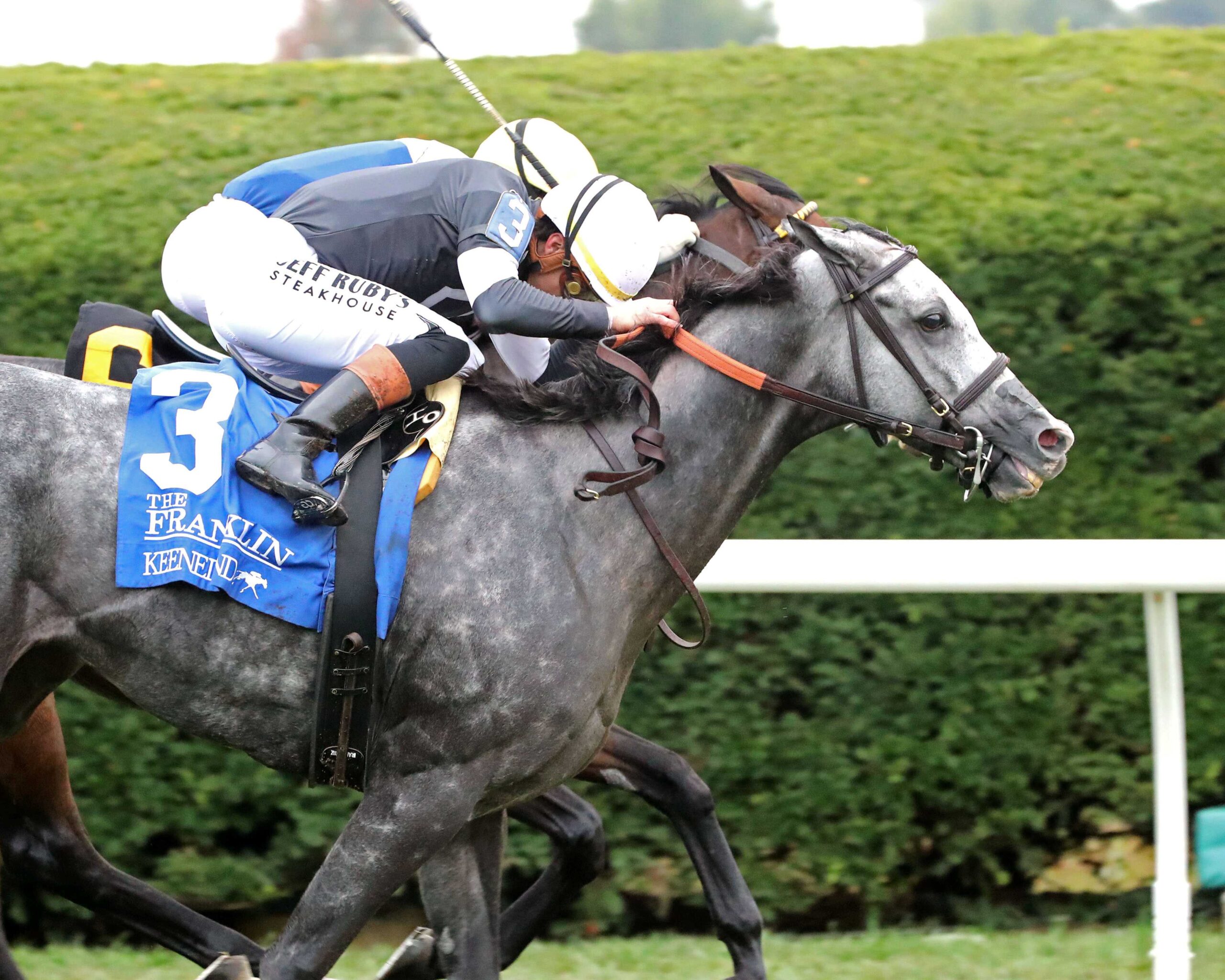 Time To Dazzle, horses, Not This Time, Franklin Stakes, domingo, 11 de octubre de 2026, Keeneland. Foto: @coadymediaUSA