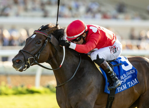 Tam Tam, Horses, Medaglia D´Oro, Del Mar Oaks, sábado, 22 de agosto de 2026, Del Mar. Foto: Benoit Photo