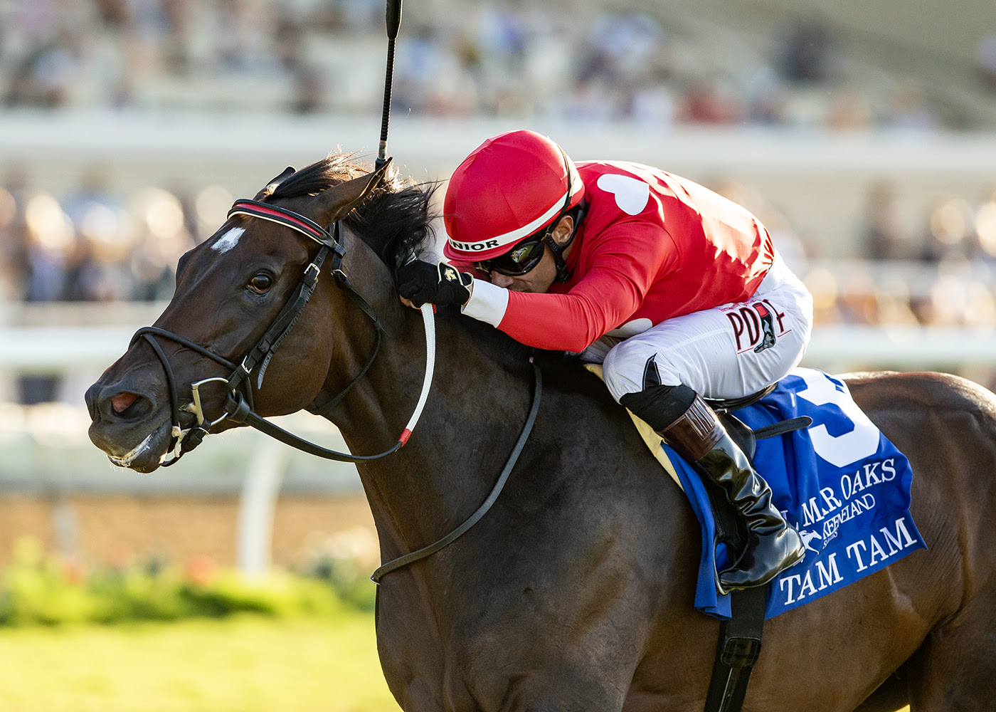 Tam Tam, Horses, Medaglia D´Oro, Del Mar Oaks, sábado, 22 de agosto de 2026, Del Mar. Foto: Benoit Photo