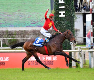 The Gladiator´s Hat, horse, Hat Ninja, Gran General San Martín, sábado, 5 de septiembre de 2026, Hipódromo de Palermo. Foto: Prensa Palermo