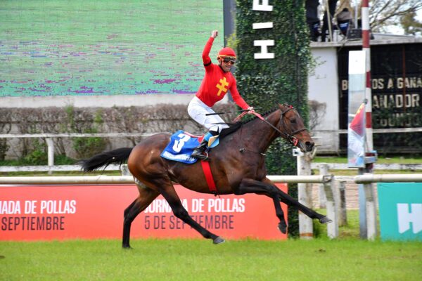 The Gladiator´s Hat, horse, Hat Ninja, Gran General San Martín, sábado, 5 de septiembre de 2026, Hipódromo de Palermo. Foto: Prensa Palermo