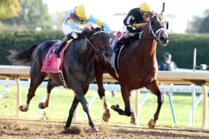 Willy D´s, horse, Lookin At Lucky, Hagyard Fayette Stakes, sábado, 24 de octubre de 2026, Keeneland. Foto: @coadymediaUSA