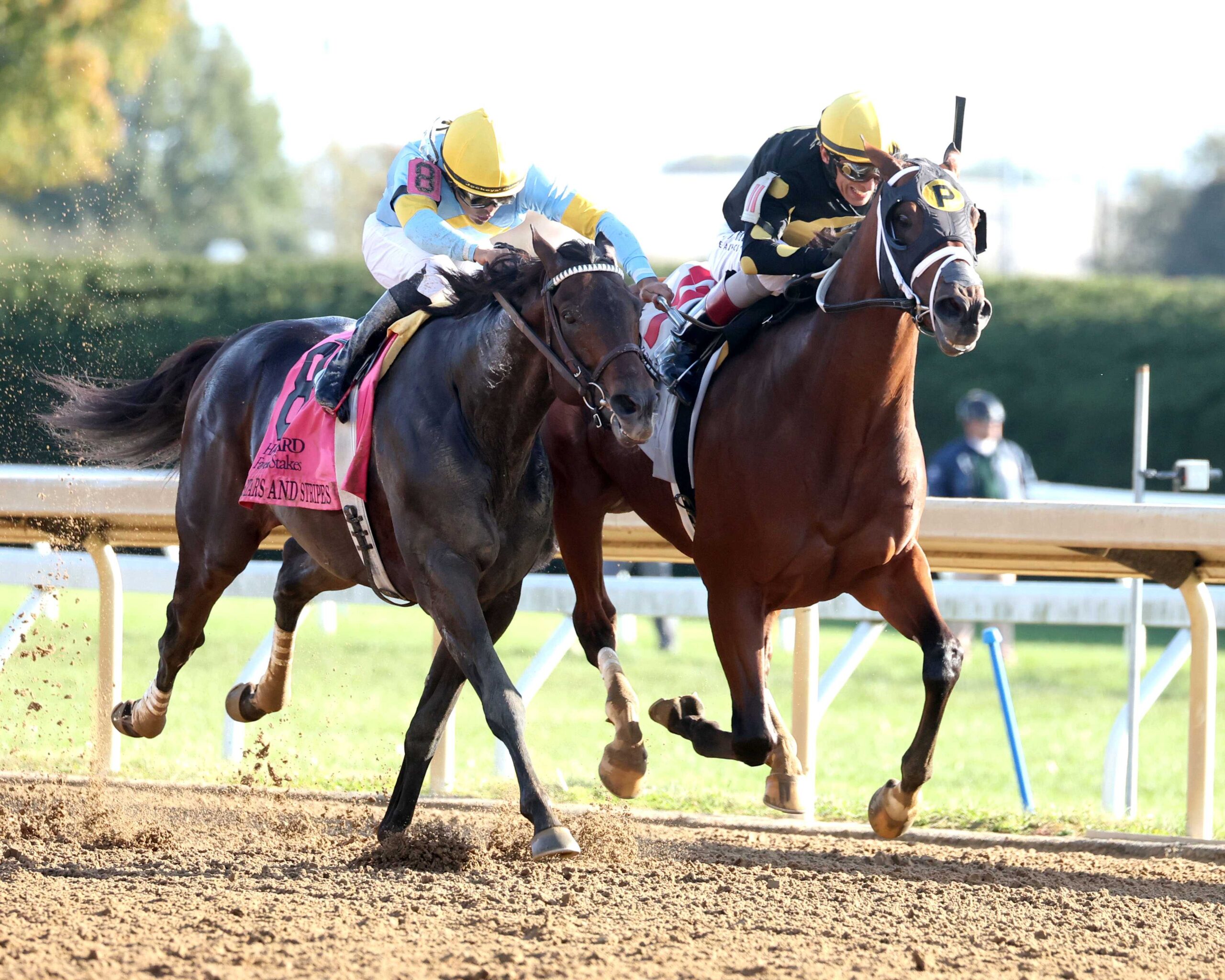 Willy D´s, horse, Lookin At Lucky, Hagyard Fayette Stakes, sábado, 24 de octubre de 2026, Keeneland. Foto: @coadymediaUSA