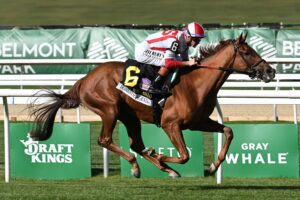 Domestic Agenda, Klaravich Stables, Miss Grillo Stakes, sábado, 3 de octubre de 2026, Belmont Park. Foto: Coglaniese Photo & Chelsea Durand