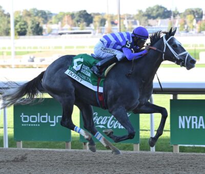 Dotsy, horse, Tacitus, Frizette Stakes, sábado, 3 de octubre de 2026, Aqueduct. Foto: Coglaniese Photo
