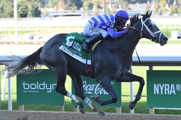 Dotsy, horse, Tacitus, Frizette Stakes, sábado, 3 de octubre de 2026, Aqueduct. Foto: Coglaniese Photo
