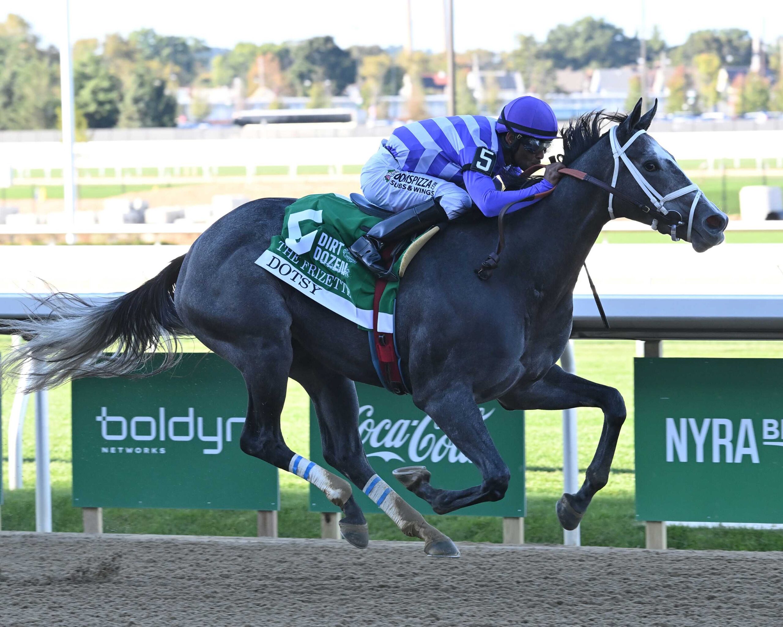 Dotsy, horse, Tacitus, Frizette Stakes, sábado, 3 de octubre de 2026, Aqueduct. Foto: Coglaniese Photo