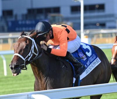 Ground Support, horse, Army Mule, Miss Grillo Stakes, sábado, 4 de octubre de 2025, Belmont At The Big A. Foto: Coglaniese Photo & Chelsea Durand