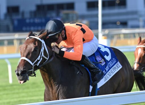 Ground Support, horse, Army Mule, Miss Grillo Stakes, sábado, 4 de octubre de 2025, Belmont At The Big A. Foto: Coglaniese Photo & Chelsea Durand