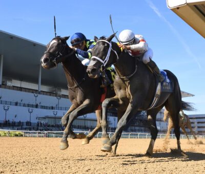 Iron Orchard, horse, Authentic, Frizette Stakes, sábado, 4 de octubre de 2025, Aqueduct. Foto: Coglaniese Photo
