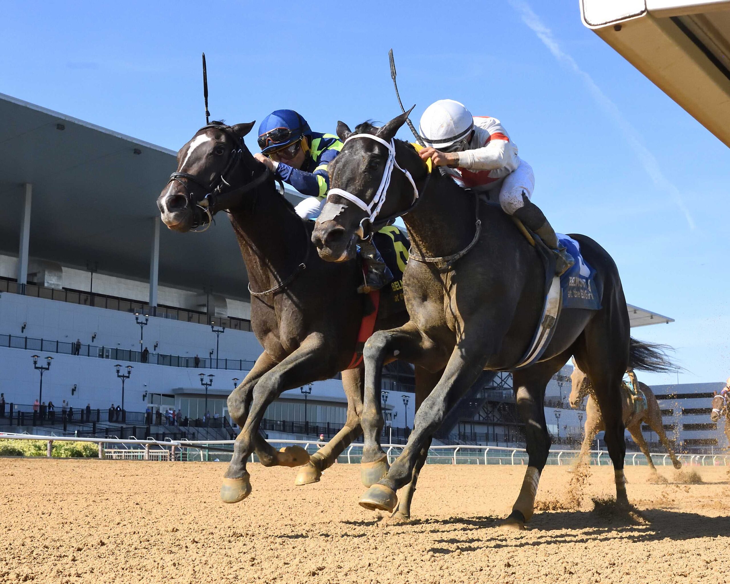Iron Orchard, horse, Authentic, Frizette Stakes, sábado, 4 de octubre de 2025, Aqueduct. Foto: Coglaniese Photo