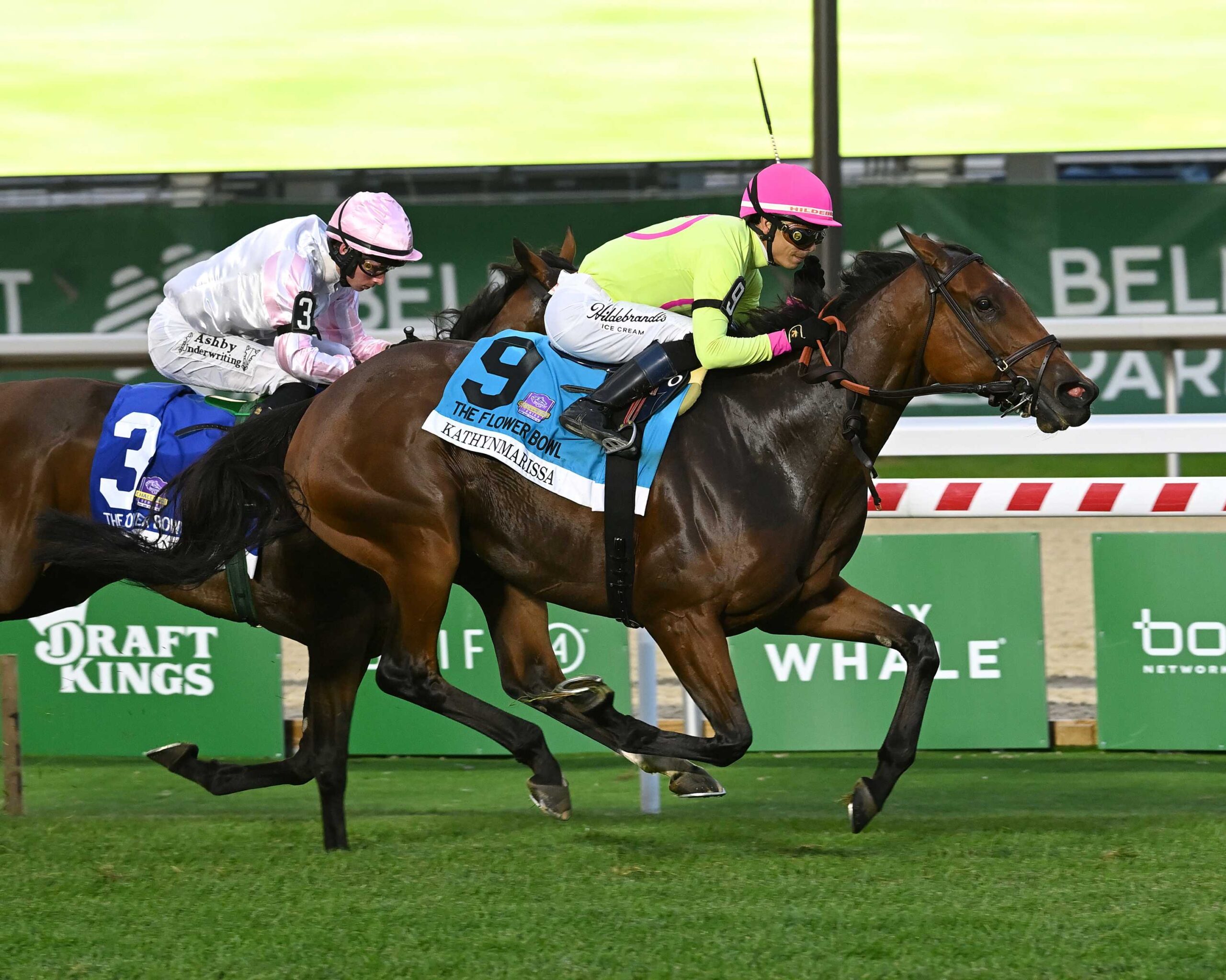 Kathynmarissa, horses, Don Alberto Corporation, Flower Bowl Stakes, jueves, 1 de octubre de 2026, Belmont Park. Foto: Coglaniese Photo