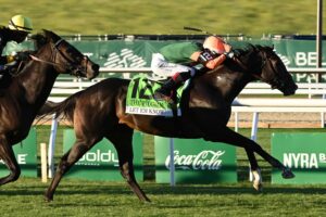 Let Em Know, horse, Jackie´s Warrior, Pilgrim Stakes, sábado, 3 de octubre de 2026, Belmont Park. Foto: Coglaniese Photo