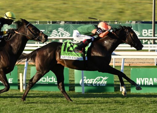 Let Em Know, horse, Jackie´s Warrior, Pilgrim Stakes, sábado, 3 de octubre de 2026, Belmont Park. Foto: Coglaniese Photo