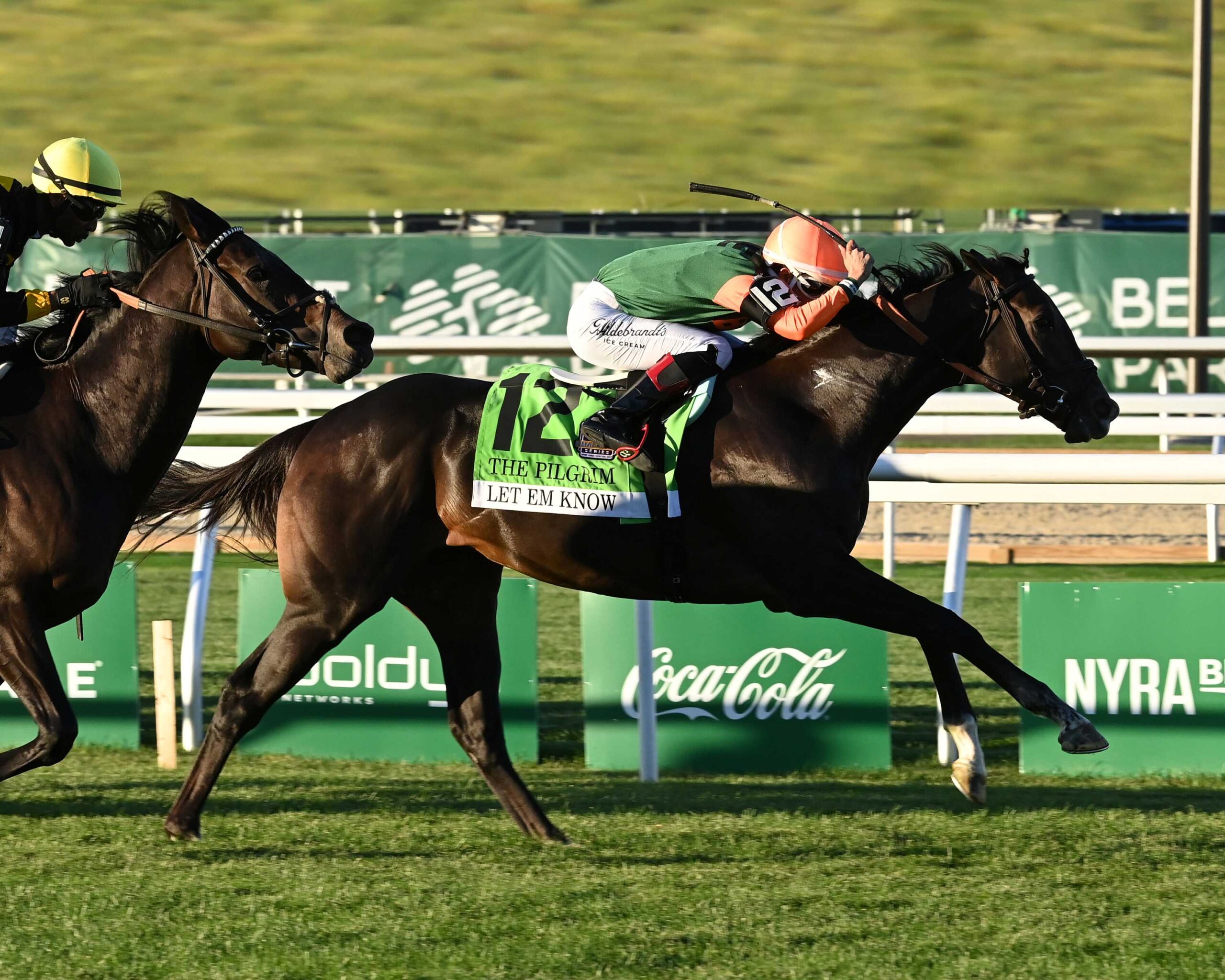 Let Em Know, horse, Jackie´s Warrior, Pilgrim Stakes, sábado, 3 de octubre de 2026, Belmont Park. Foto: Coglaniese Photo