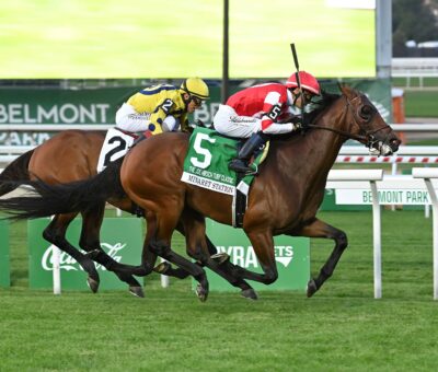 Minaret Station, horse, Instilled Regard, Joe Hirsch Turf Classic Stakes, jueves, 1 de octubre de 2026, Belmont Park. Foto: Coglaniese Photo