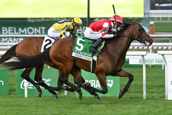 Minaret Station, horse, Instilled Regard, Joe Hirsch Turf Classic Stakes, jueves, 1 de octubre de 2026, Belmont Park. Foto: Coglaniese Photo