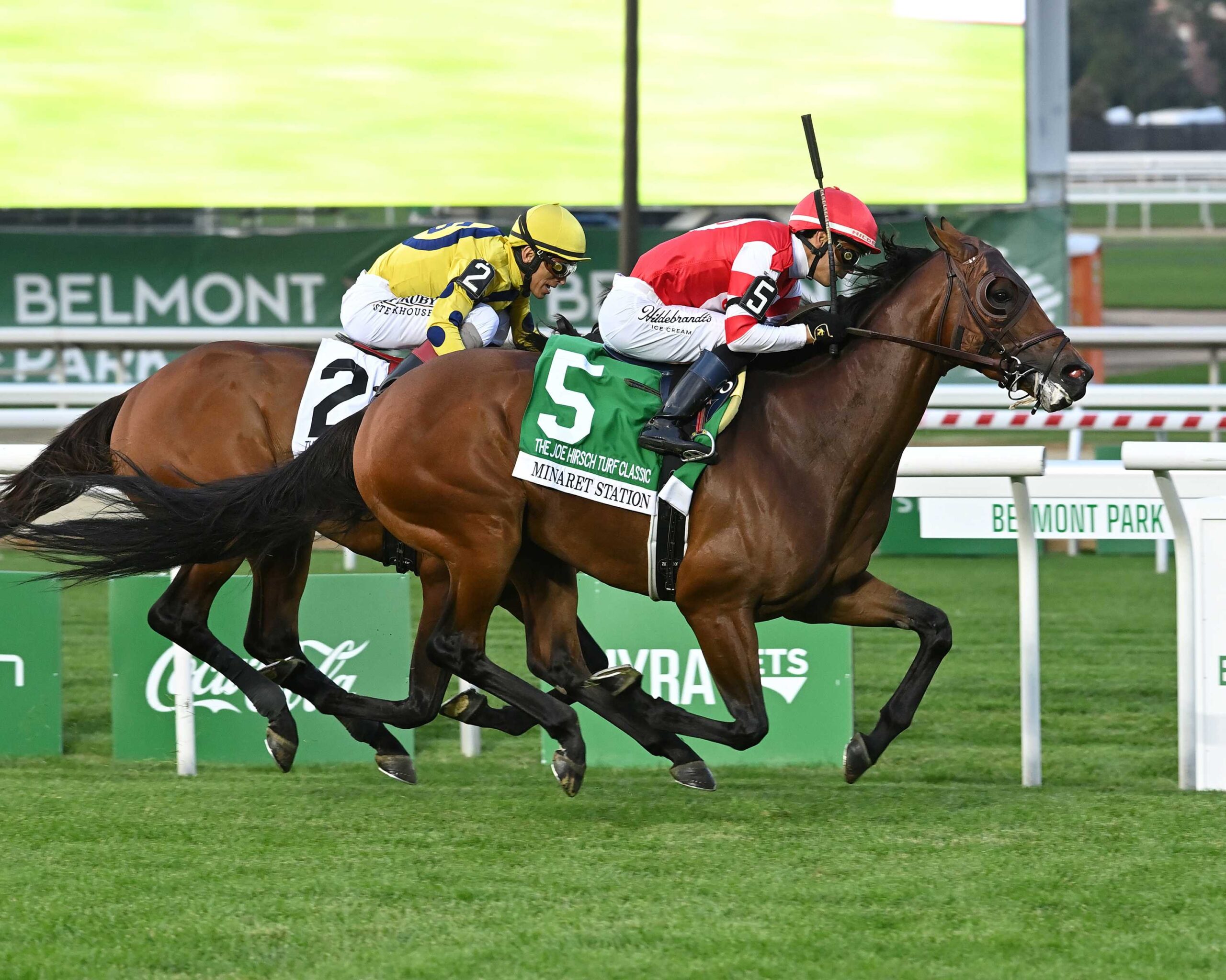 Minaret Station, horse, Instilled Regard, Joe Hirsch Turf Classic Stakes, jueves, 1 de octubre de 2026, Belmont Park. Foto: Coglaniese Photo