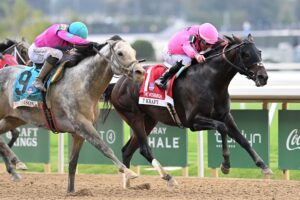 T Kraf, horses, Connect, Vosburgh Stakes, jueves, 1 de octubre de 2026, Belmont Park. Foto: Coglaniese Photo & Chelsea Durand