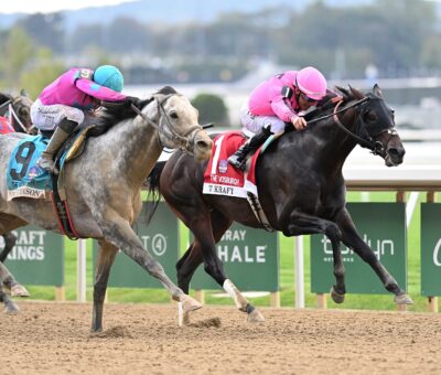 T Kraf, horses, Connect, Vosburgh Stakes, jueves, 1 de octubre de 2026, Belmont Park. Foto: Coglaniese Photo & Chelsea Durand