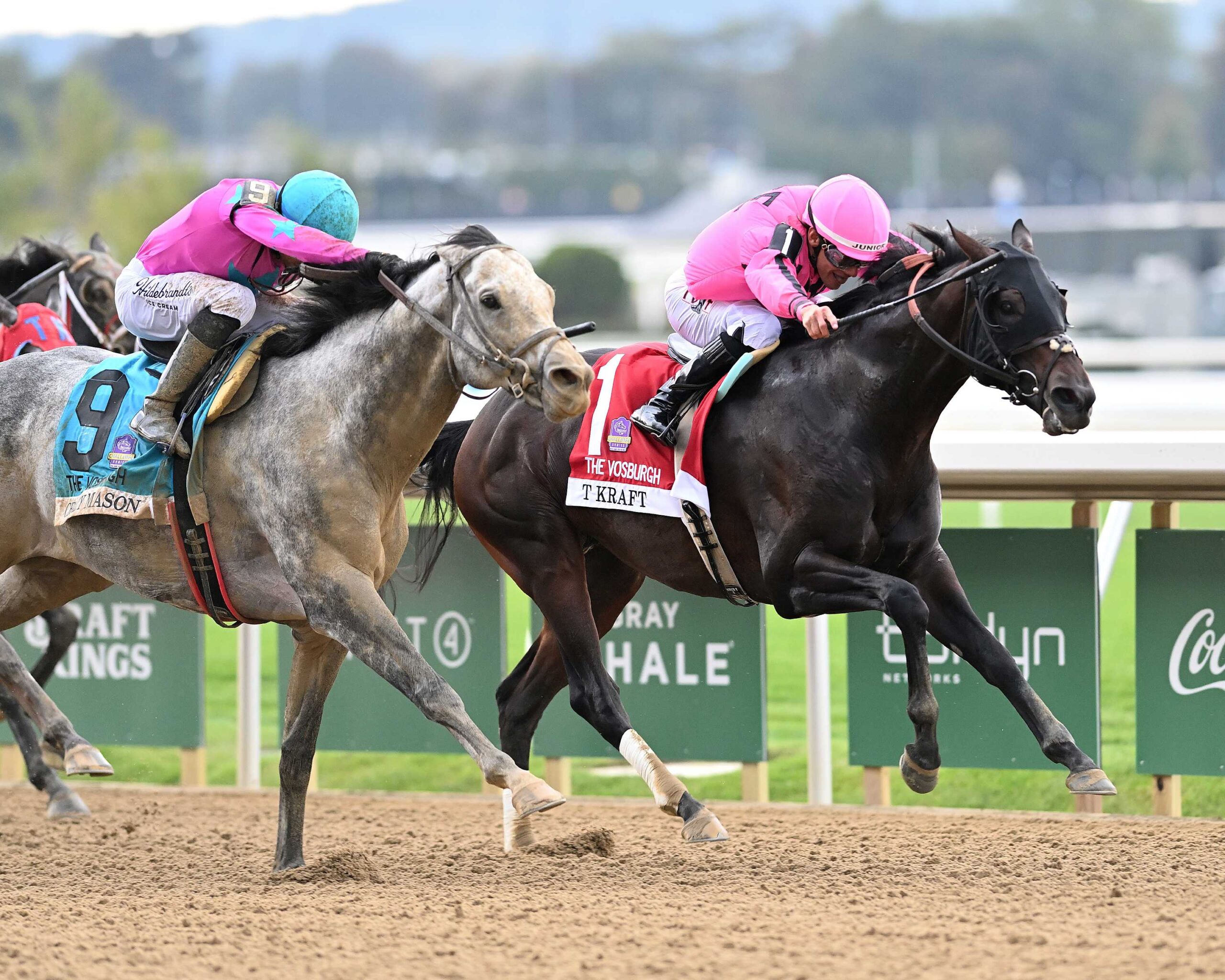 T Kraf, horses, Connect, Vosburgh Stakes, jueves, 1 de octubre de 2026, Belmont Park. Foto: Coglaniese Photo & Chelsea Durand