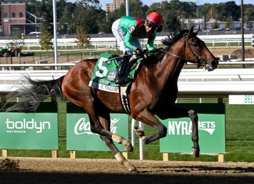 U. S. S. Valor, horse War Of Will, Champagne Stakes, sábado, 3 de octubre de 2026, Belmont Park. Foto: Coglaniese Photo
